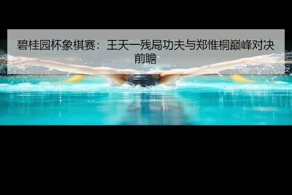 bi-gui-yuan-bei-xiang-qi-sai-wang-tian-yi-can-ju-gong-fu-yu-zheng-wei-tong-dian-feng-dui-jue-qian-zhan-3-433.jpg